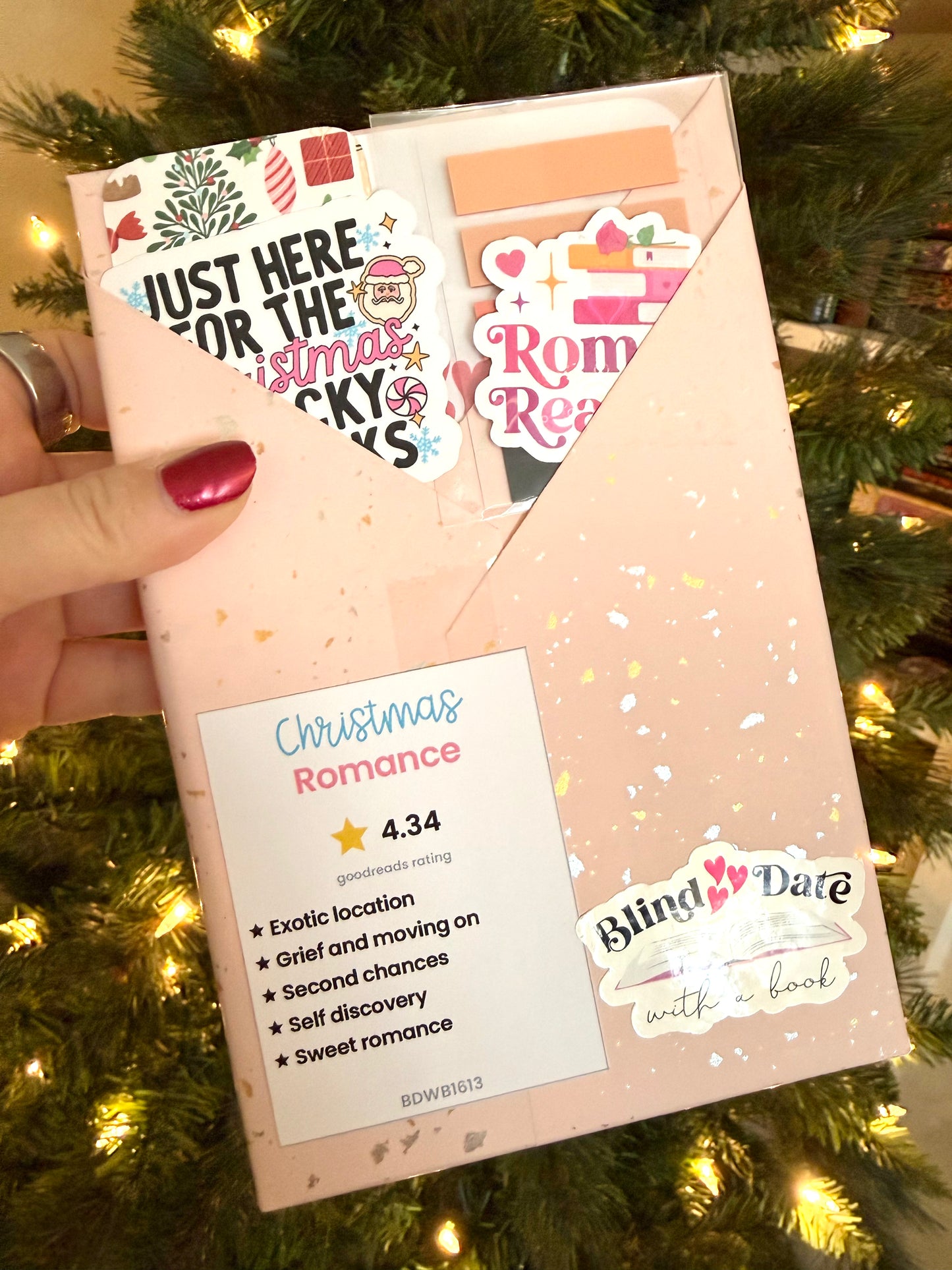 Blind Date with a Book #1613