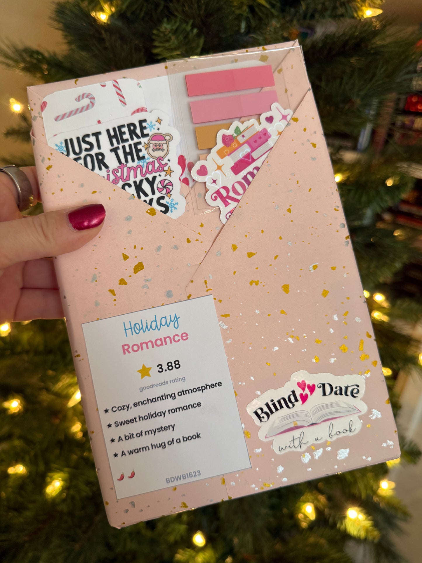 Blind Date with a Book #1623